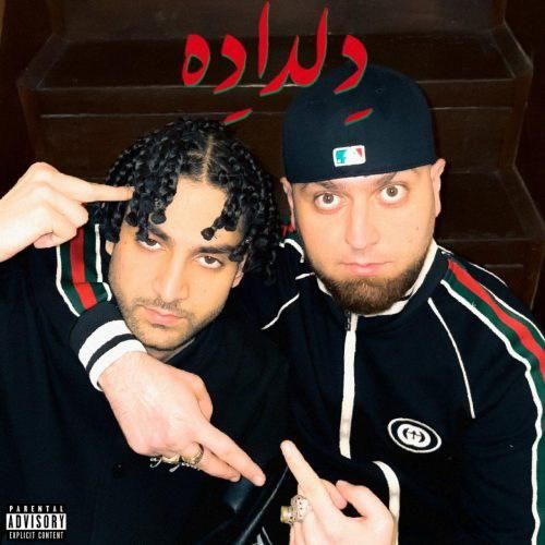 دانلود آهنگ دلداده هیپهاپولوژیست و سینازا