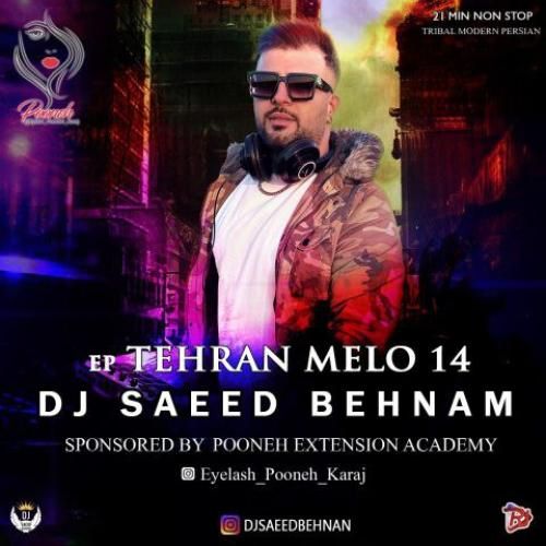 دانلود آهنگ تهران ملو 14 دیجی سعید بهنام