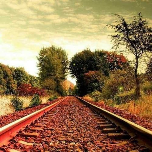 دانلود آهنگ شروانو کزیه دایکت قربانو ترند انستایی 