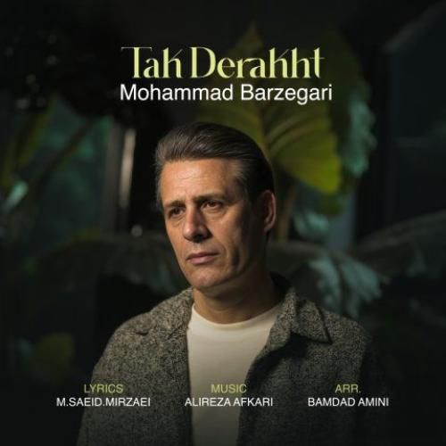 دانلود آهنگ تک درخت محمد برزگری