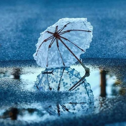 دانلود آهنگ تو سوزی گل چویلی مو مجنونم تو لیلی 