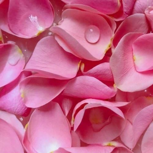 دانلود آهنگ به گمونم دل تو جای دیگس دل تو پیش یه رسوای دیگس