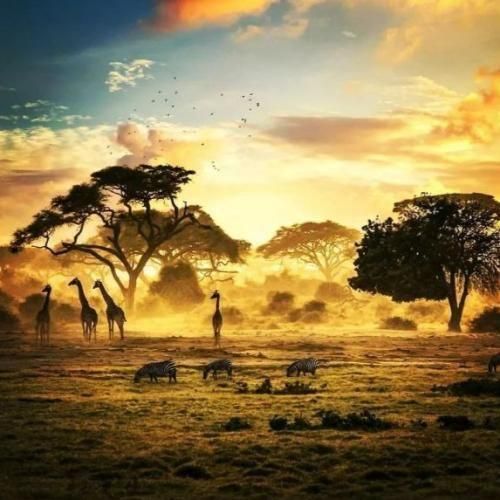 دانلود آهنگ این آخریا حرفات میداد بوی رفتن انگار خسته شده بودی
