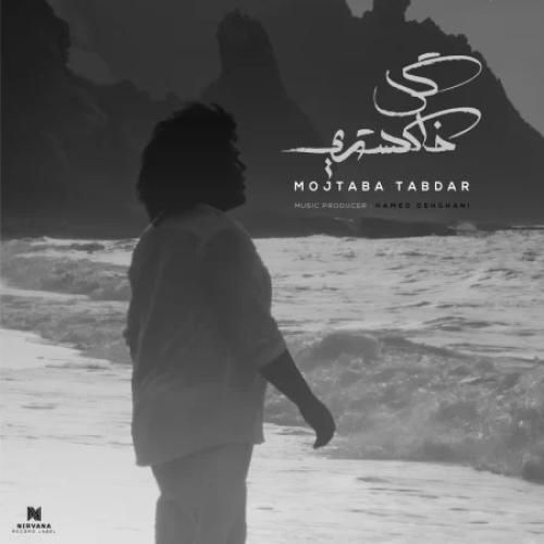 دانلود آهنگ گل خاکستری مجتبی تابدار