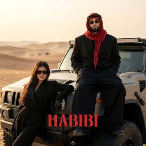 دانلود آهنگ حبیبی آرتا