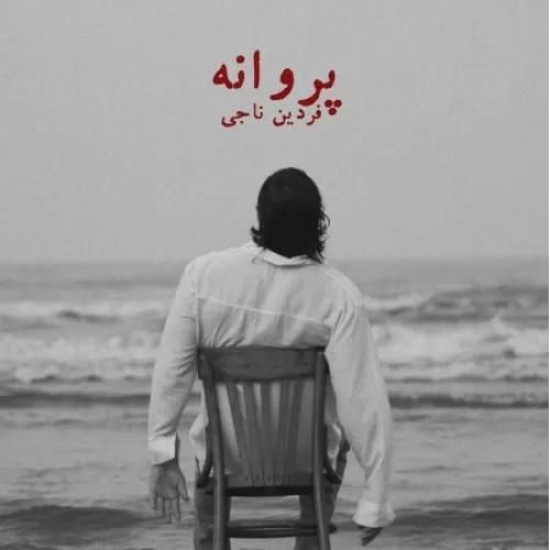 دانلود آهنگ پروانه فردین ناجی