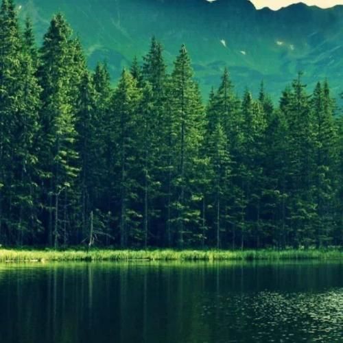 دانلود آهنگ من حالم بد میشه اگه نباشم پیشت چه راحت رفتی 