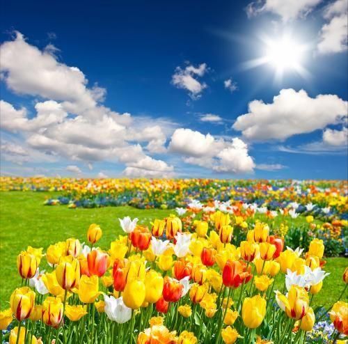 دانلود آهنگ هی هر شب روی لبم هیزین عشق جوری