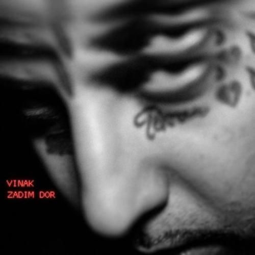 دانلود آهنگ زدیم دور ویناک