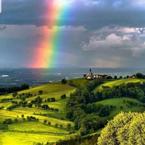 دانلود آهنگ خودت نمیدونی فازت چیه برو شده لاوت دیگه