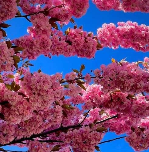 دانلود آهنگ چقد عوض شدی دیگه مثل قبلنا نمیخندی