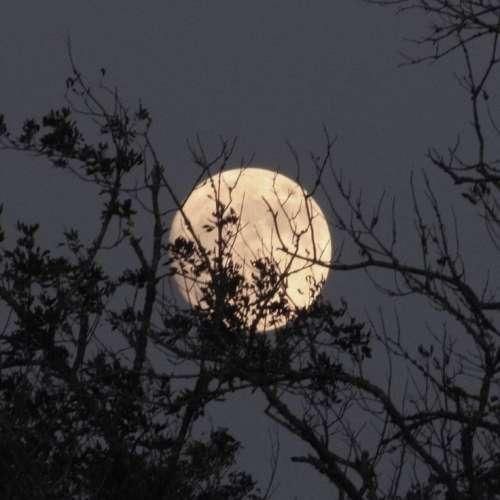 دانلود آهنگ هنوز نگاهت با منه حرفایی که می‌زدی رو یادمه 