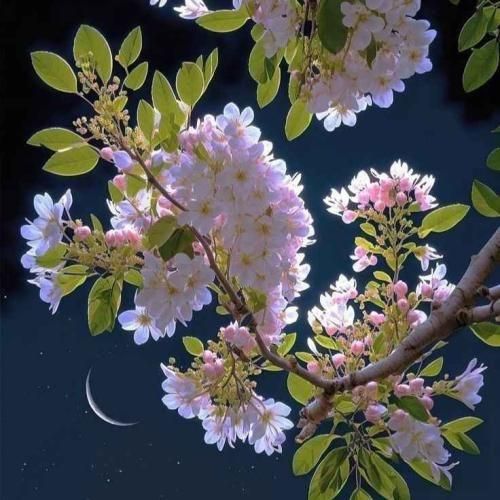 دانلود آهنگ  با اینکه نبودی با من خوب همه حرفاتو یادم موندش 