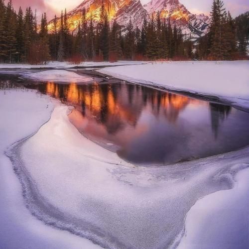 دانلود آهنگ جدید همش تو فکرمه بزارم برم حق بدید یه بارم به من