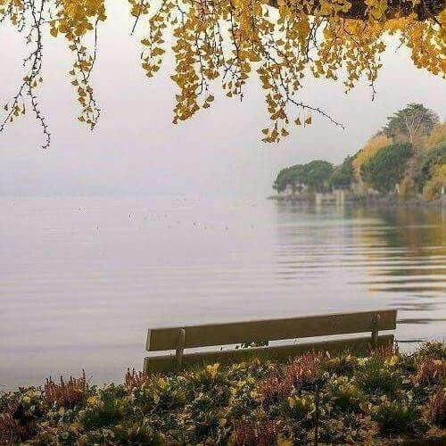 دانلود آهنگ ما میدونیم نا امیدی اشتباهه ما میمونیم تو این راه