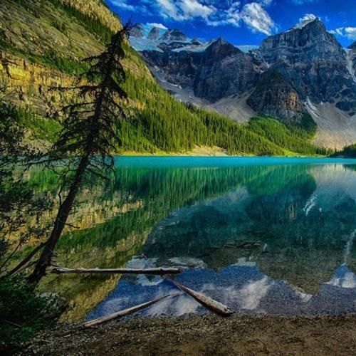 دانلود آهنگ جدید دلبر دنیام تویی همتا نداری آرش خوشنواز