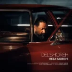 دلشوره رضا صادقی دلشوره رضا صادقی